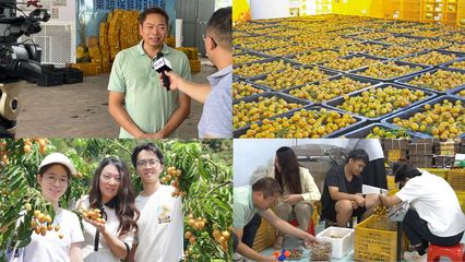 【百千萬工程】央視聚焦的81億產(chǎn)業(yè)如何破圈？廣東白云學(xué)院用“AI+非遺基因庫”給出答案