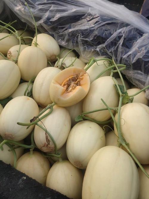 瓜果類(lèi) 夏季的甜蜜與健康寶藏